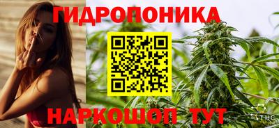 гидра Старая Купавна