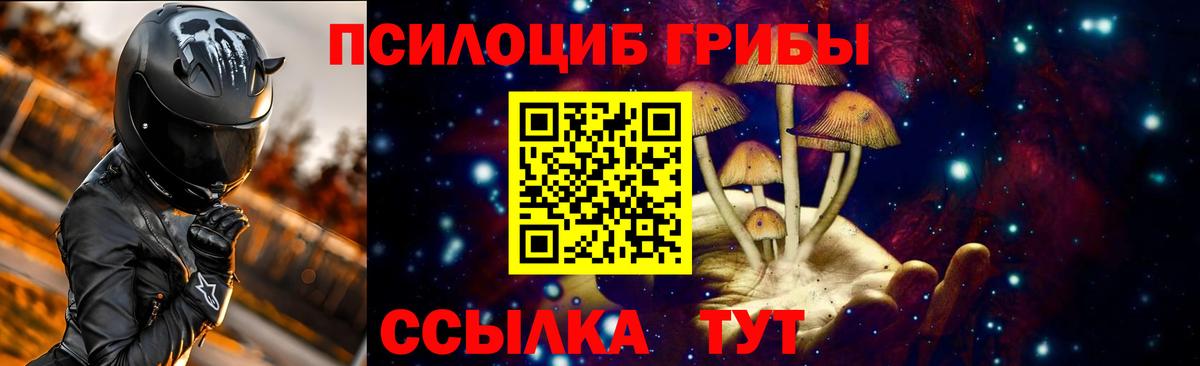 Галлюциногенные грибы мицелий  Вход с VPN  Новочебоксарск 